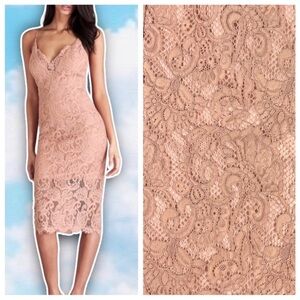 NWT BARDOT Pencil Lace Midi Dress Rose Blush Pink Coquette Sexy Date Night Out